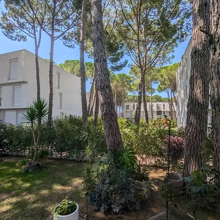 Tedi's Garden Lalzit Bay *